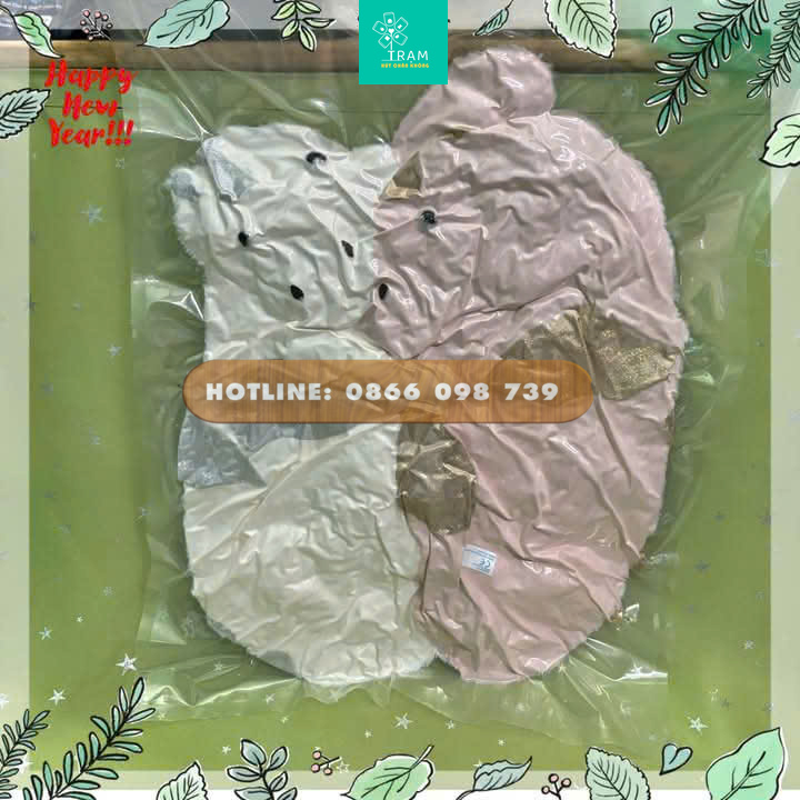 Hút chân không mang đi chống ẩm mốc