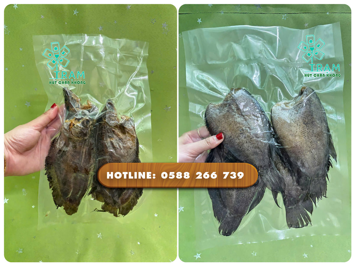 Hút chân không mang lại nhiều lợi ích thiết thực