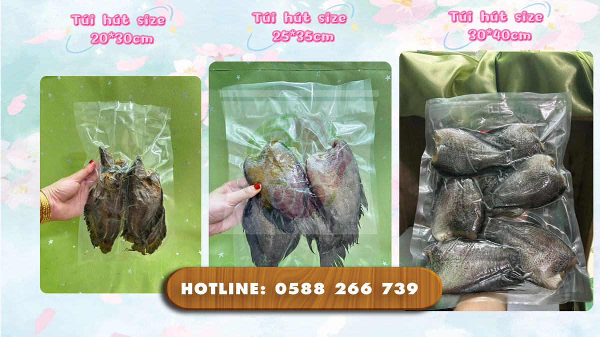 Máy móc hiện đại giúp hút chân không nhanh chóng, hiệu quả