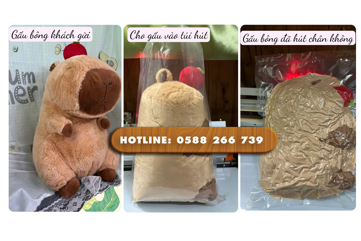 Hút chân không cho gấu bông phù hợp với nhiều đối tượng