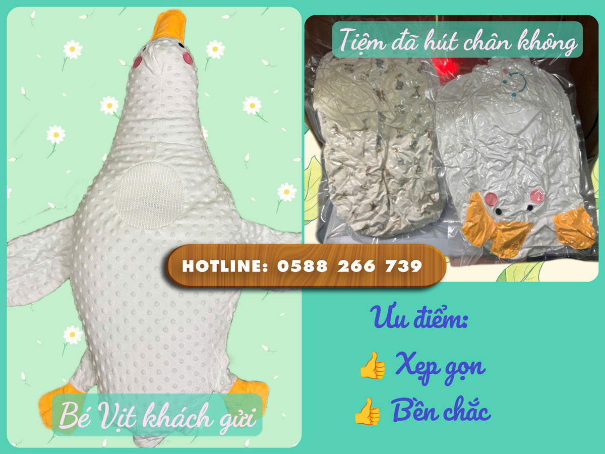 Đến ngay Hút Chân Không để sử dụng dịch vụ chuyên nghiệp, giá tốt
