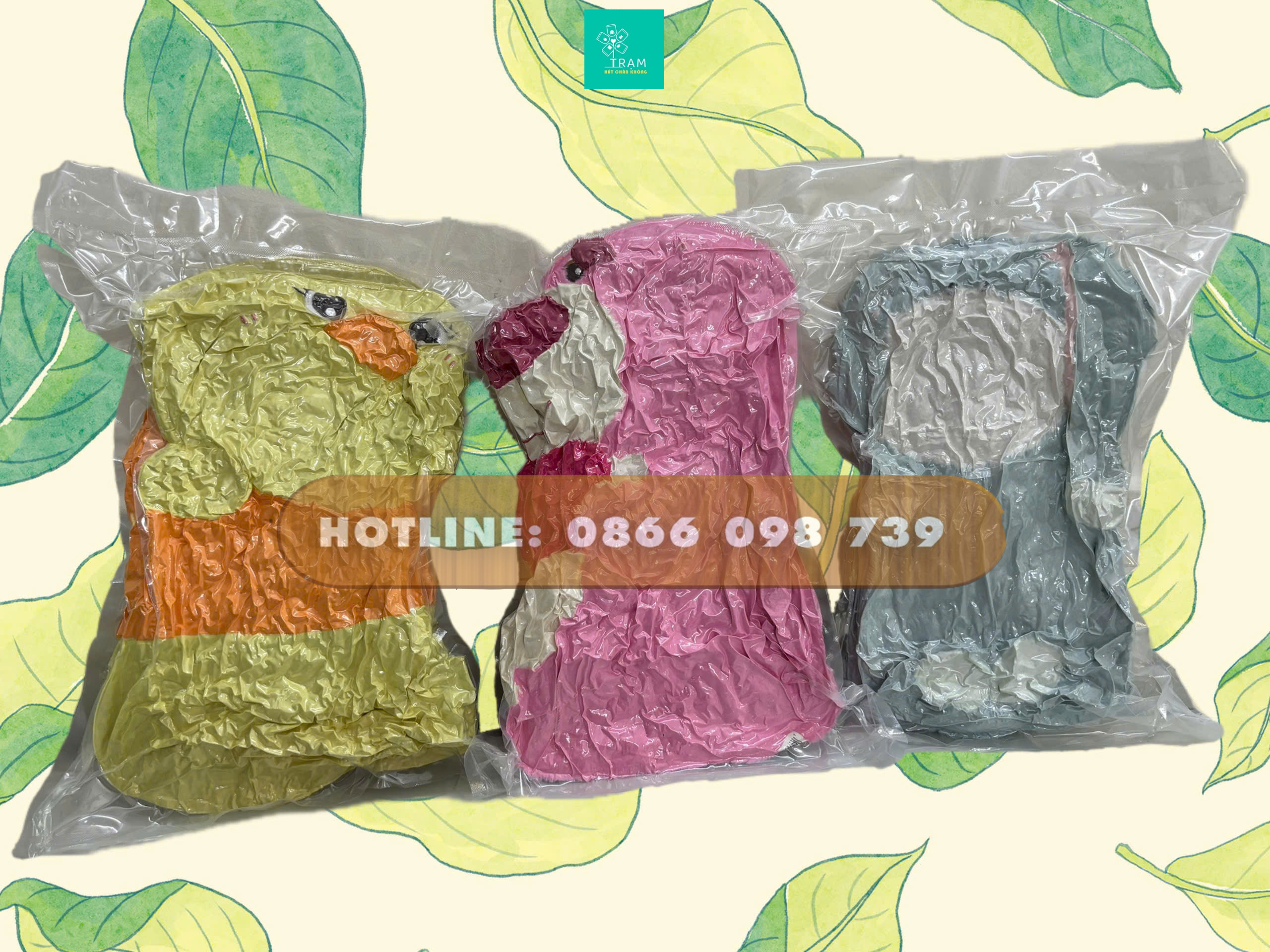 Hút chân không mang đi nước ngoài vận chuyển hiệu quả