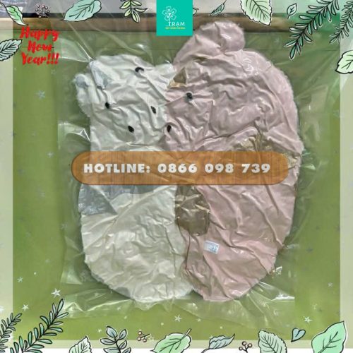 Hút chân không gấu bông nhanh, gọn, tiện lợi